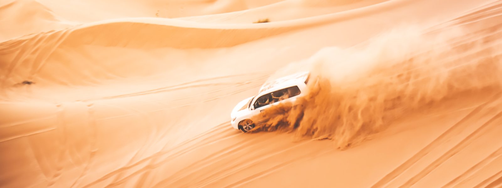 Dune Bashing