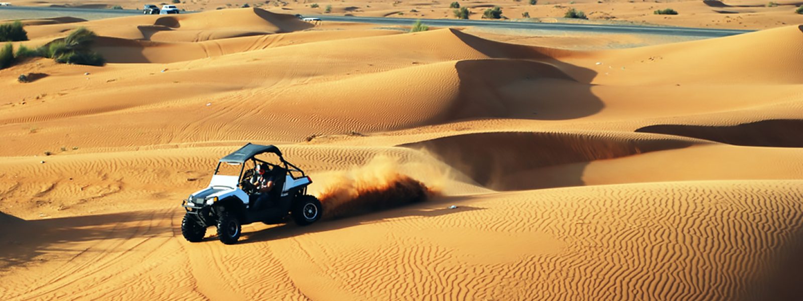 Dune Buggy in desert Safari