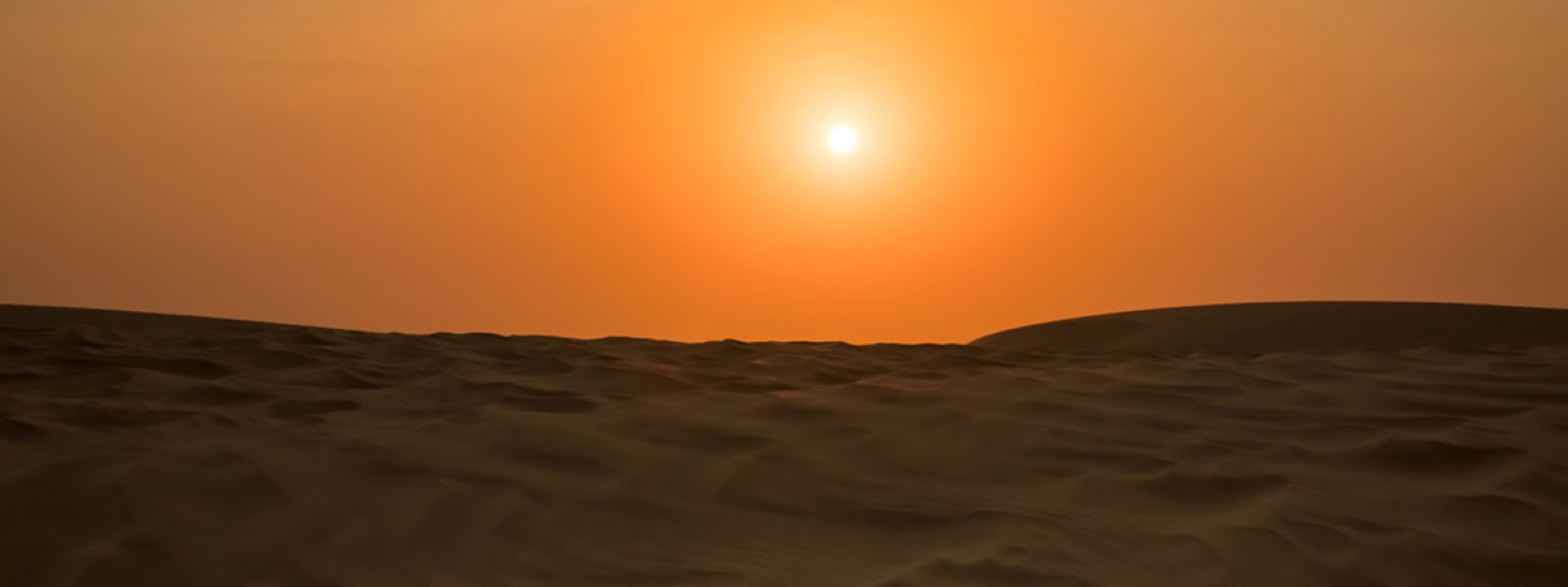 Sunset Desert Safari