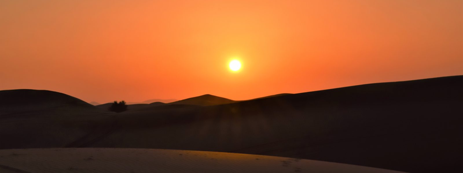 Sunset Desert Safari